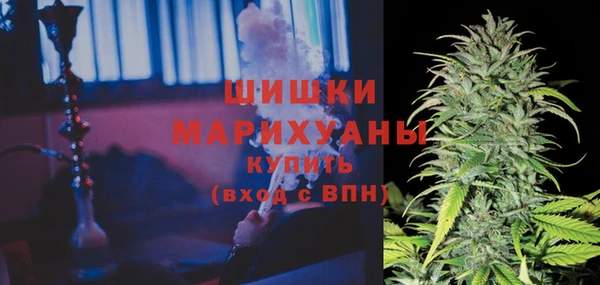 дмт Алзамай