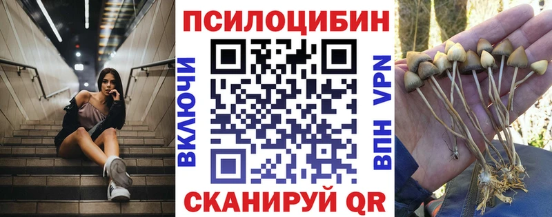 Галлюциногенные грибы Magic Shrooms  Шали 